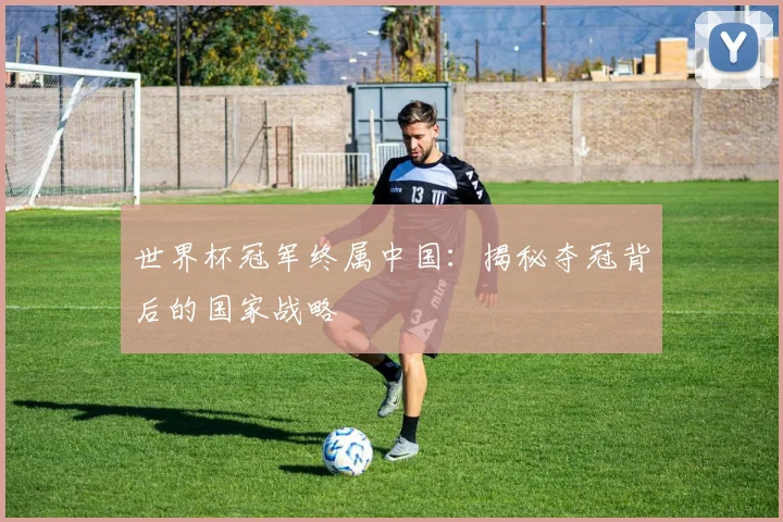 世界杯冠军终属中国:揭秘夺冠背后的国家战略