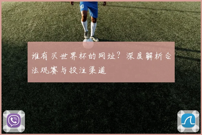 谁有买世界杯的网址？深度解析合法观赛与投注渠道