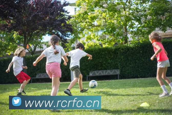 米兰体育网页登录入口服务体系